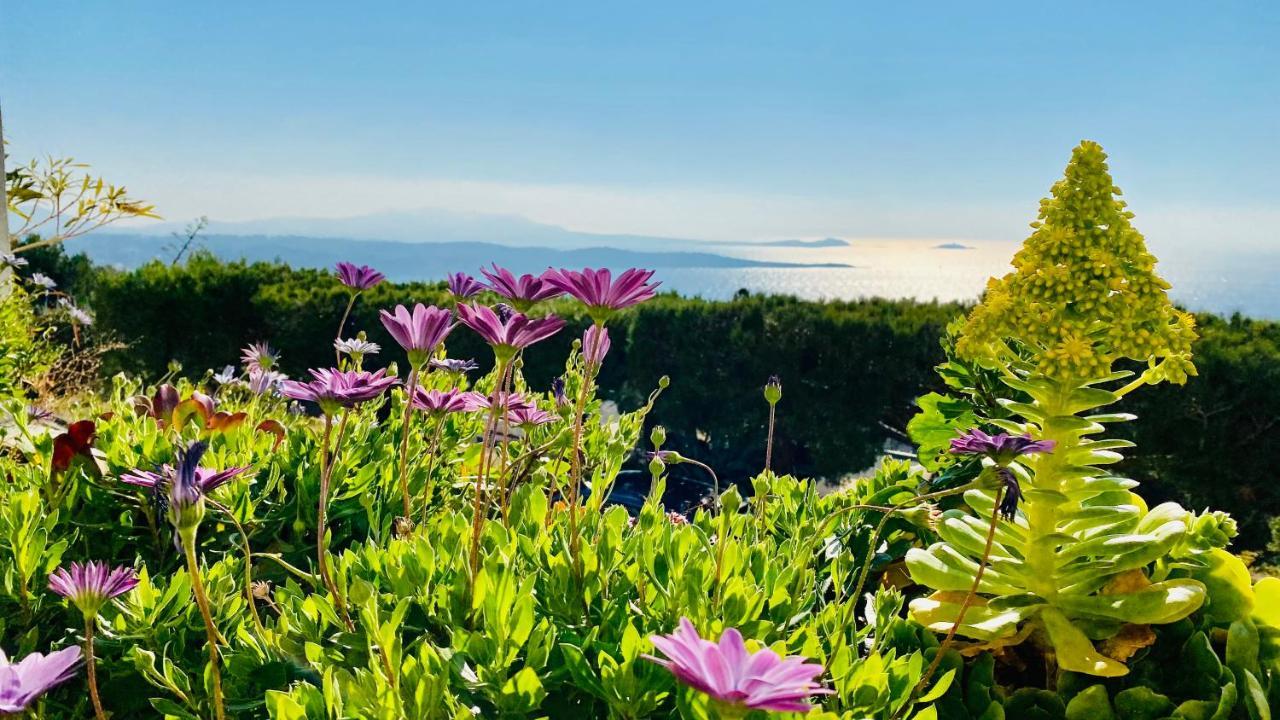 Vue Mer Panoramique Et Piscine Bandol Exterior foto